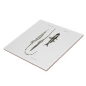 wetenschap NZ Fish - Pipet en lantaarnvis Tegeltje (Zijkant)