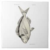  wetenschap NZ Fish Tarakihi Tegeltje (Voorkant)