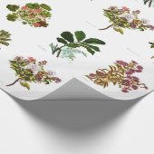 Wetenschap NZ Flowers Cadeaupapier (Hoek)