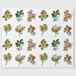  Wetenschap NZ Flowers Cadeaupapier