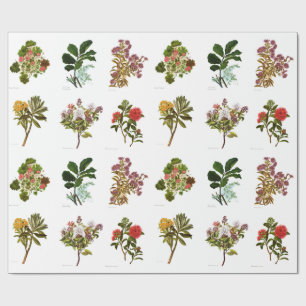 Wetenschap NZ Flowers Cadeaupapier