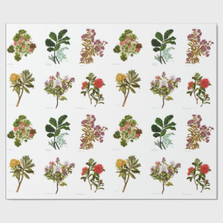  Wetenschap NZ Flowers Cadeaupapier