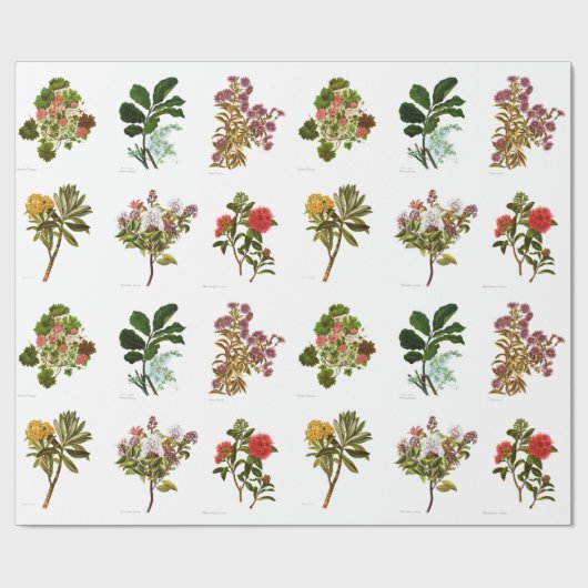  Wetenschap NZ Flowers Cadeaupapier (Vlak)