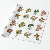 Wetenschap NZ Flowers Cadeaupapier (Uitgerold)