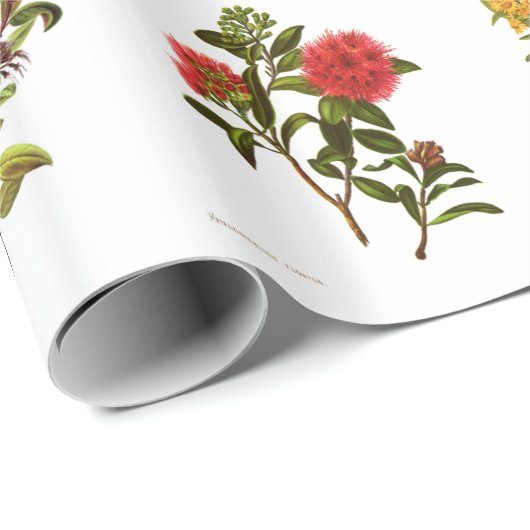  Wetenschap NZ Flowers Cadeaupapier (Rol Hoek)