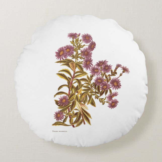  Wetenschap NZ Flowers - Olearia semidentata Rond Kussen (Voorkant)