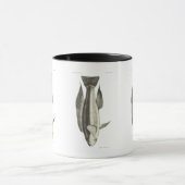  wetenschap NZ vis - Greenbone Mok (Midden)