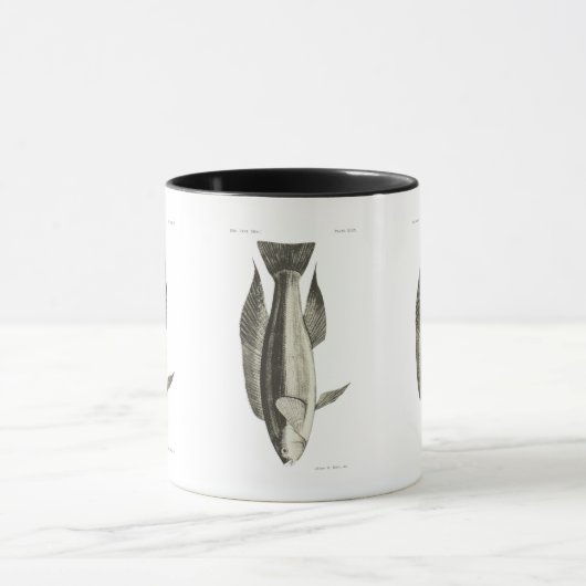  wetenschap NZ vis - Greenbone Mok (Midden)