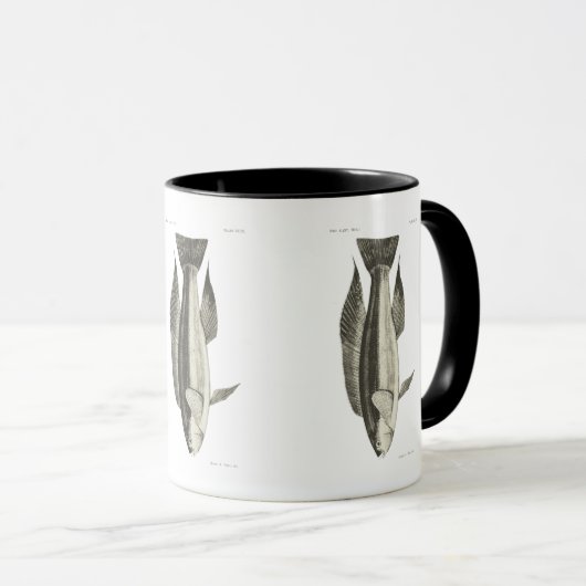  wetenschap NZ vis - Greenbone Mok (Voorkant rechts)