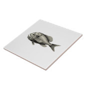  Wetenschap NZ Vis - Oranje Ruwheid Tegeltje (Zijkant)