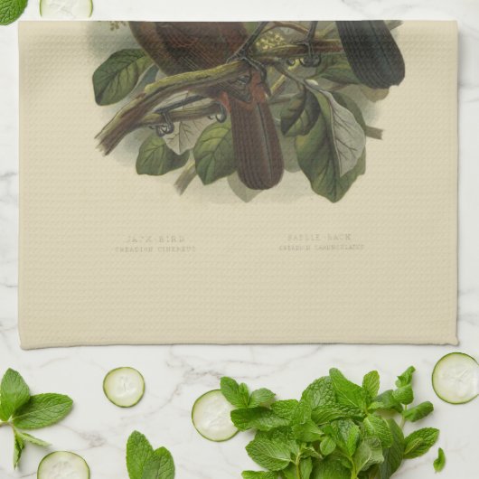  Wetenschap NZ Vogels - Zaddleback Tea Towel Theedoek (Gevouwen)