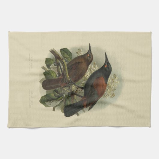 Wetenschap NZ Vogels - Zaddleback Tea Towel Theedoek (Horizontaal)