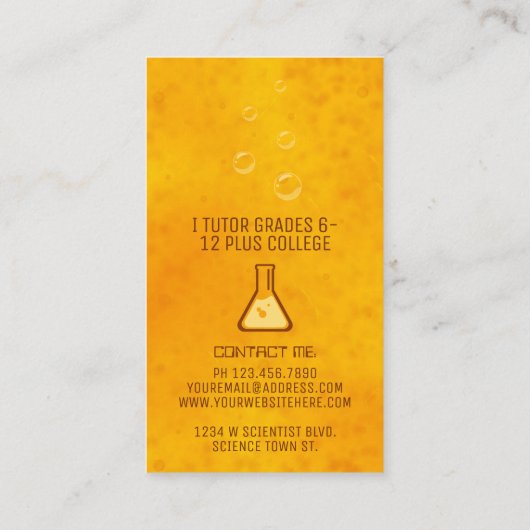 Wetenschap Privé Tutor Mosquito in Amber Fossil Visitekaartje (Achterkant)