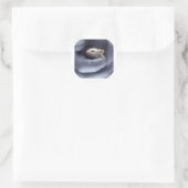 Wetenschap Ronde Sticker (Tas)