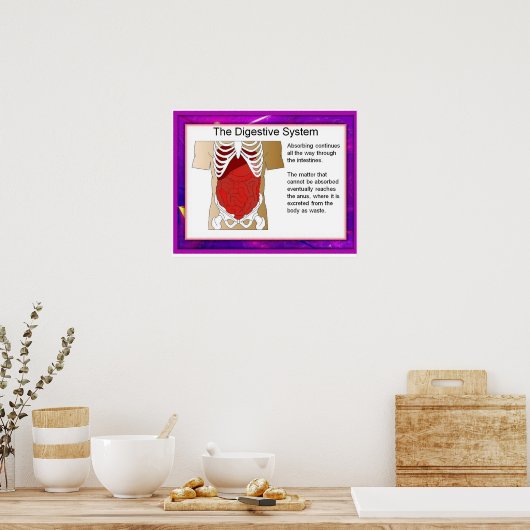 Wetenschap, spijsverteringsstelsel poster (Keuken)