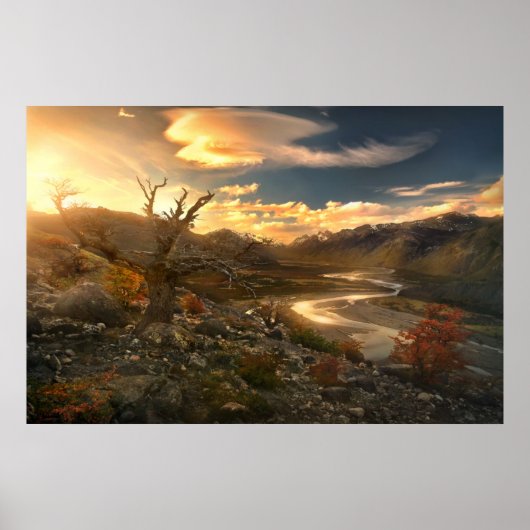 Wetenschap van het wild poster (Voorkant)