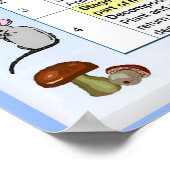 Wetenschap, voeding, stadia in de voedselketen poster (Hoek)