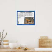 Wetenschap, voedselketen, secundaire consumenten poster (Keuken)