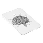 Wetenschappelijk brein magneet (Rechterzijde)