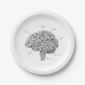 Wetenschappelijk brein papieren bordje (Voorkant)
