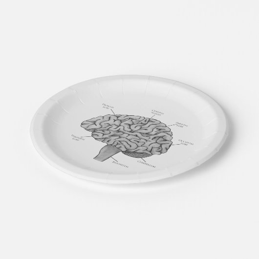 Wetenschappelijk brein papieren bordje (Gekanteld)
