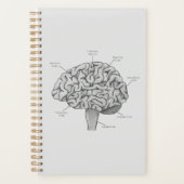 Wetenschappelijk brein planner (Voorkant)