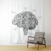 Wetenschappelijk brein wandkleed (In situ)