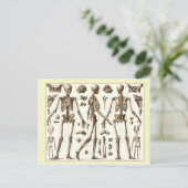 Wetenschappelijke afbeelding van het skelet van de briefkaart (Staand voorkant)