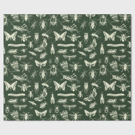 Wetenschappelijke Antiek bugs Insects Cream and Gr Cadeaupapier (Vlak)