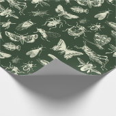 Wetenschappelijke Antiek bugs Insects Cream and Gr Cadeaupapier (Hoek)
