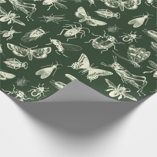 Wetenschappelijke Antiek bugs Insects Cream and Gr Cadeaupapier (Hoek)
