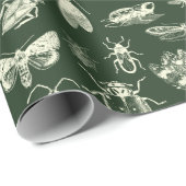 Wetenschappelijke Antiek bugs Insects Cream and Gr Cadeaupapier (Rol Hoek)