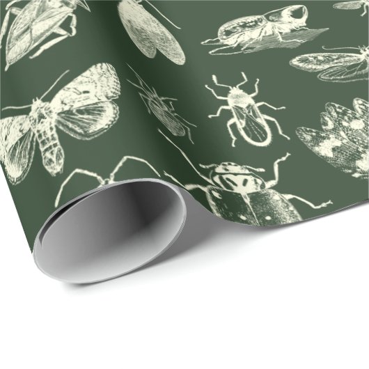 Wetenschappelijke Antiek bugs Insects Cream and Gr Cadeaupapier (Rol Hoek)