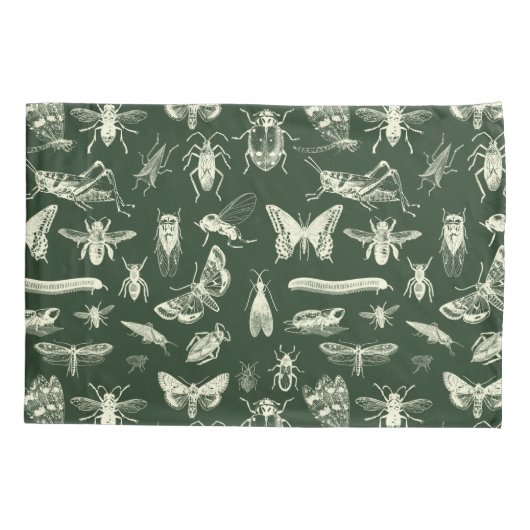 Wetenschappelijke Antiek bugs Insects Cream and Gr Kussensloop (Achterkant)
