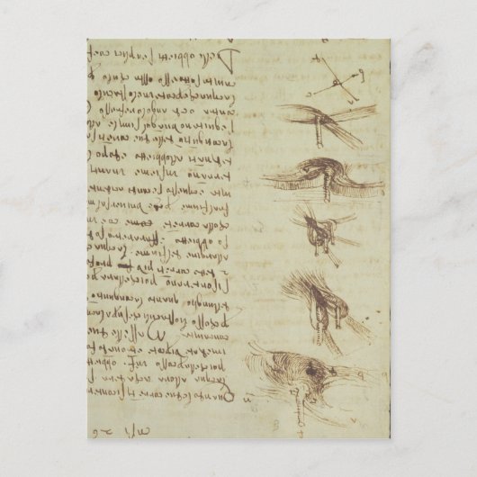 Wetenschappelijke diagrammen briefkaart (Voorkant)