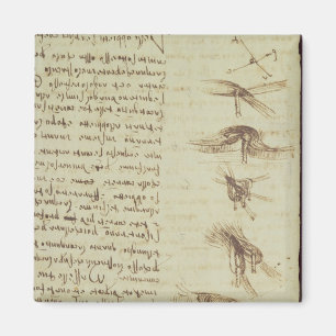 Wetenschappelijke diagrammen magneet