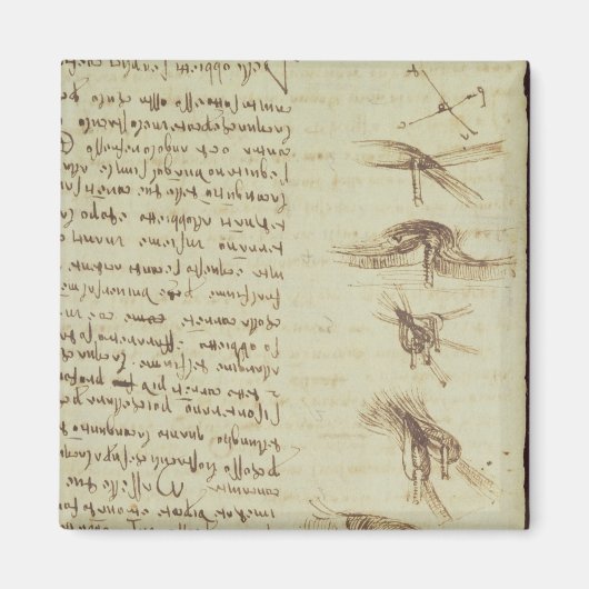 Wetenschappelijke diagrammen magneet (Voorkant)