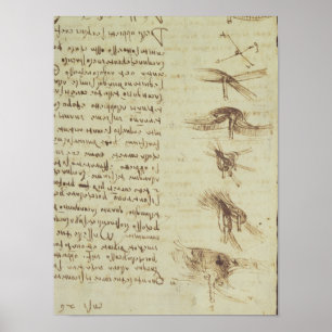 Wetenschappelijke diagrammen poster