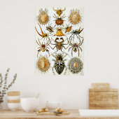 Wetenschappelijke illustratie Arachnid Poster (Keuken)