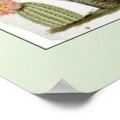  wetenschappelijke illustratie Cactus Poster (Hoek)