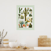  wetenschappelijke illustratie Cactus Poster (Keuken)