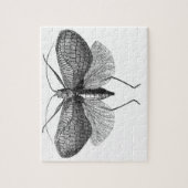 wetenschappelijke illustratie van de mot legpuzzel (Verticaal)