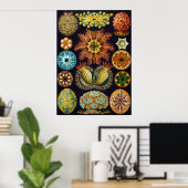  wetenschappelijke illustratie van Ernst Haeckel Poster (Thuiskantoor)