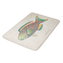  wetenschappelijke illustratie van vissen