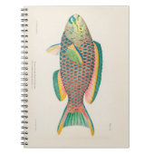 wetenschappelijke illustratie van vissen notitieboek (Voorkant)