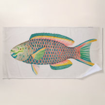 wetenschappelijke illustratie van vissen