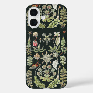 Wetenschappelijke Natuur Kunst Ernst Haeckel Lever iPhone 16 Hoesje