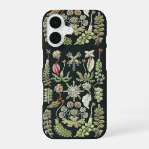 Wetenschappelijke Natuur Kunst Ernst Haeckel Lever iPhone 16 Hoesje
