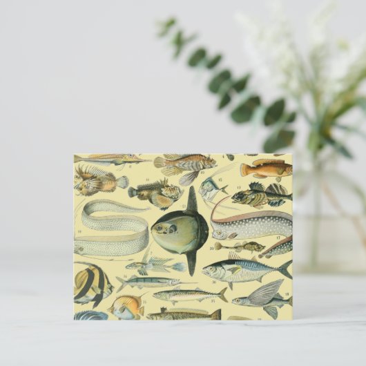  wetenschappelijke Vissende kunst Briefkaart (Staand voorkant)