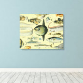 wetenschappelijke Vissende kunst Canvas Afdruk (Insitu (Houten vloer))